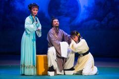 花中君子-资料图