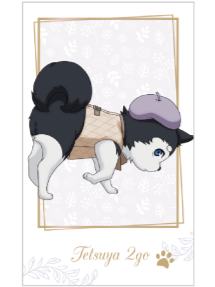 哲也2号拍立得-南家糖植物图鉴紫原ver.