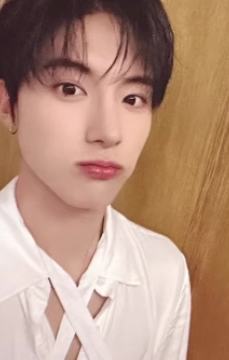 成都fm入场卡艾 ver.B