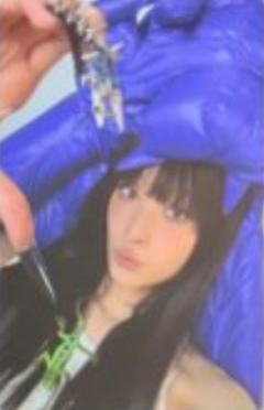 day版专卡 妮ver.A