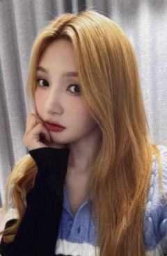 ms线上签售 ver.B