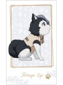 哲也2号拍立得-南家糖植物图鉴青峰ver.