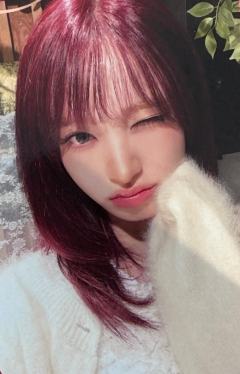 kbs特别舞台打歌卡 栗