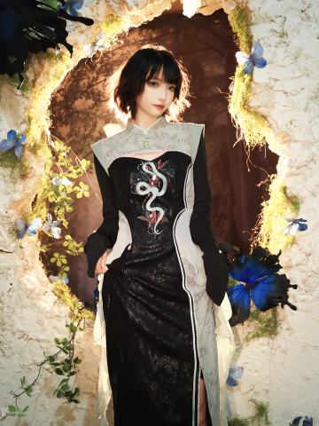 王晓阳 蝶涧蛇章