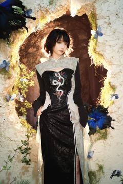 王晓阳 蝶涧蛇章