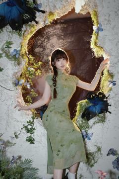 陈嘉意 苔境蝶踪