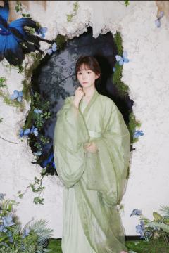 桂楚楚 翠袂栖蝶