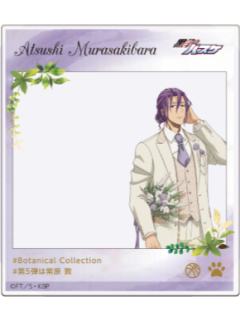 紫原敦亚克力合影卡-南家糖植物图鉴紫原ver.