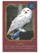 77/90海德薇-Auchan法国红卡