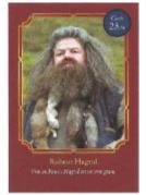 23/90鲁伯·海格-Auchan法国红卡