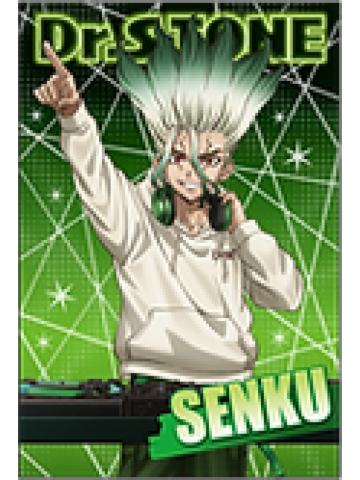 石神千空满赠-乐队系列