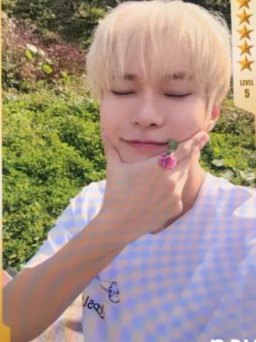 q音星光卡 五星ver.B