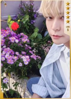 q音星光卡 五星ver.C