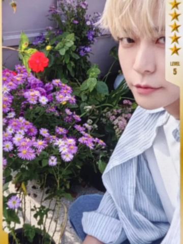 q音星光卡 五星ver.C