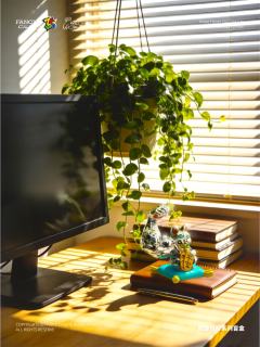 小隐藏-耀你银-资料图