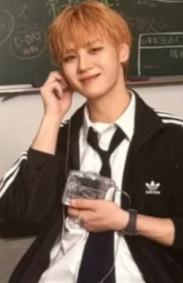 b版随机卡 挪ver.D