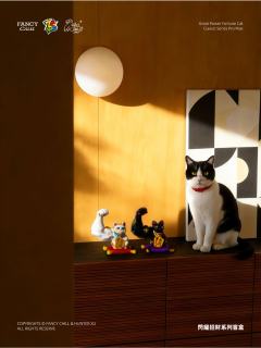 耀你好运-资料图