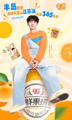 丰岛代言周边