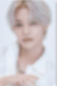 会员礼固配 羊 ver.A