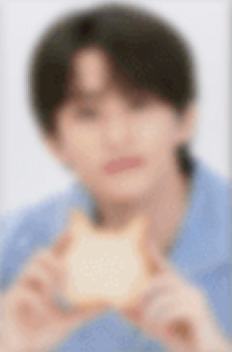 会员礼固配 马 ver.A