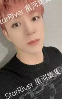 星河预售 诺 ver.B