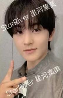 星河预售 马 ver.B