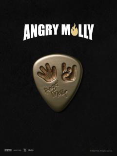 Angry Molly-Bass Player-资料图