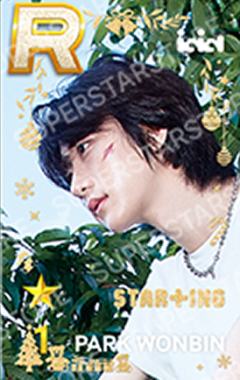 圣诞快闪游戏卡 彬