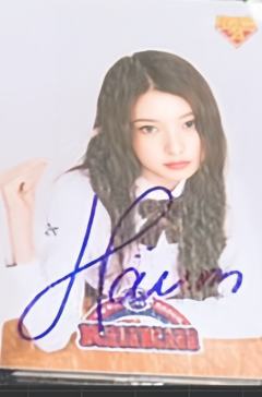 teleca常规卡4 ver.A