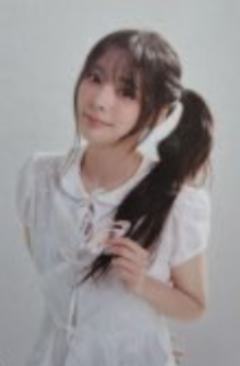 快闪小卡set  燕 ver.B