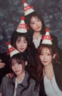 快闪小卡set 团卡