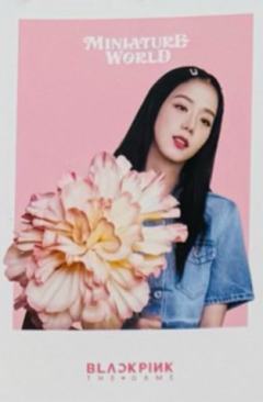 bptg迷你世界明信片 秀