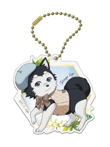 周边套组-南家糖植物图鉴黑子ver.