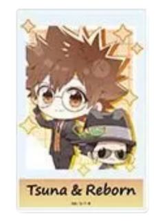 泽田纲吉&里包恩亚克力卡-Seasonal Plants眼镜系列