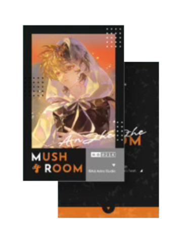 安折3纪念拍立得-初系列