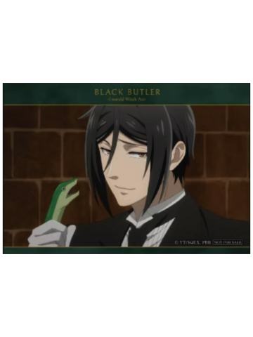 塞巴斯蒂安·米卡利斯特典-绿魔女篇快闪系列