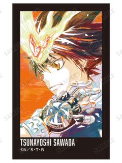 泽田纲吉B相卡-Ani-Art第二弹系列