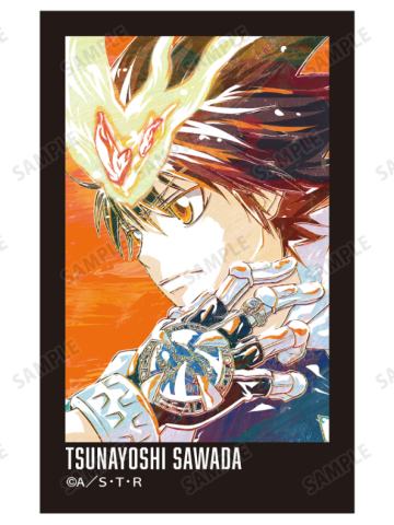 泽田纲吉B相卡-Ani-Art第二弹系列