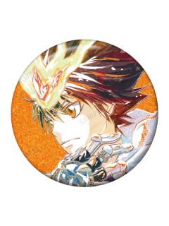 泽田纲吉闪徽章-Ani-Art第二弹系列