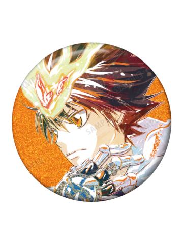 泽田纲吉闪徽章-Ani-Art第二弹系列