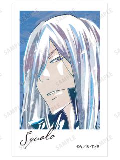 斯贝尔比·斯夸罗A相卡-Ani-Art第二弹系列