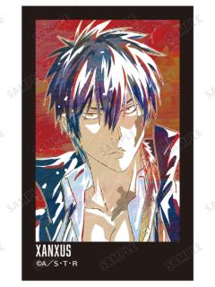 XANXUS B相卡-Ani-Art第二弹系列