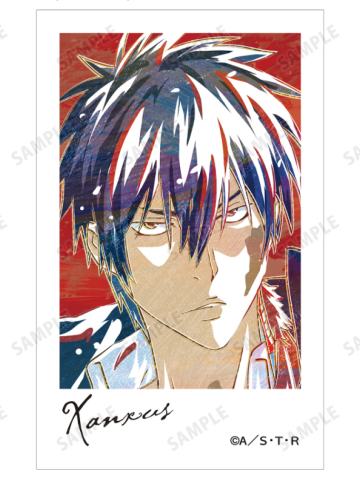 XANXUS A相卡-Ani-Art第二弹系列