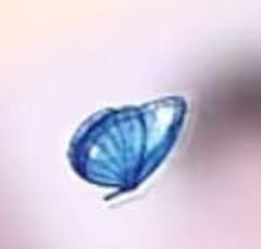 肌肤未来3.0代言冰箱贴 ver.F