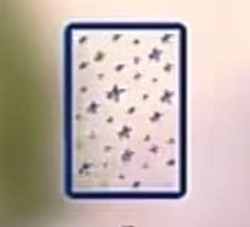 肌肤未来3.0代言冰箱贴 ver.E