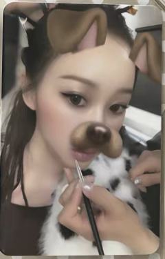 cuit ar版专卡 梨