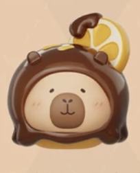 豚豚柚子巧克力