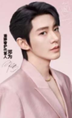 潘婷2.0代言典藏卡