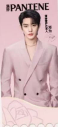 潘婷2.0代言纪念票根