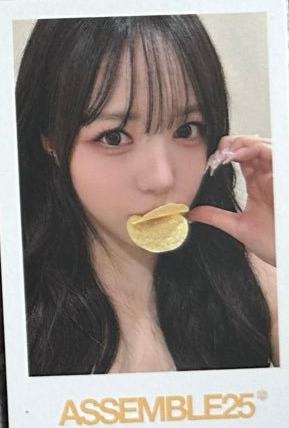 el2.0 A组s21 薯片鸭嘴ver.